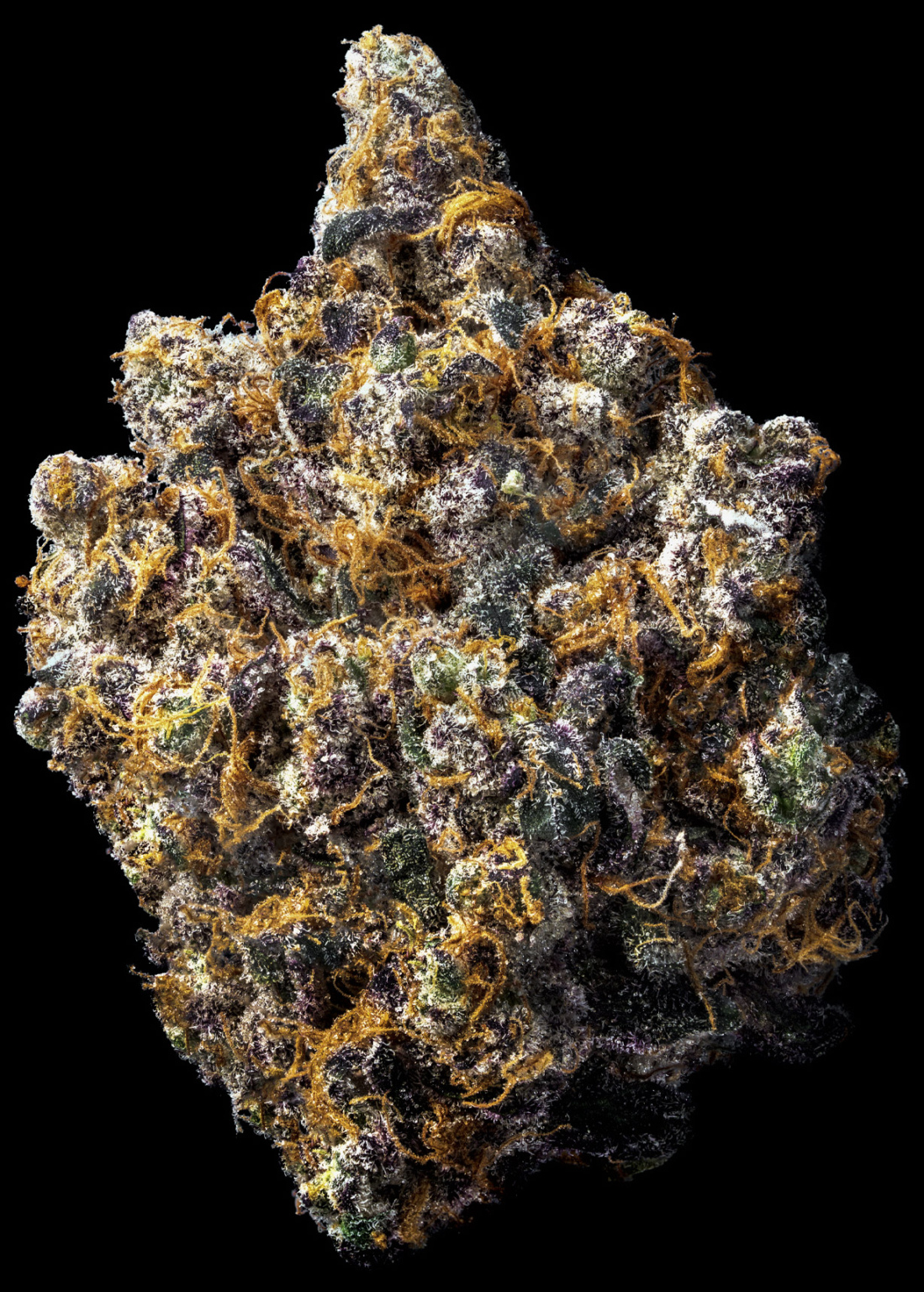 BLKMKT Animal Sorbet Kush Mints