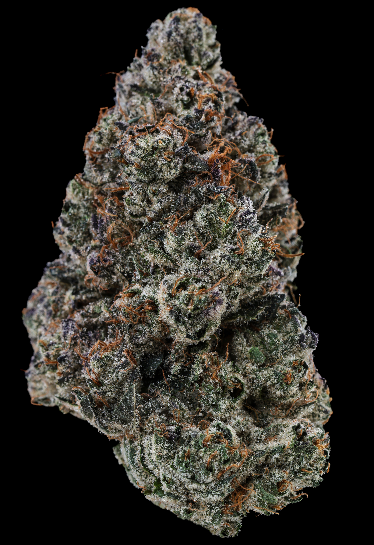 Sunset-Strudel-Bud